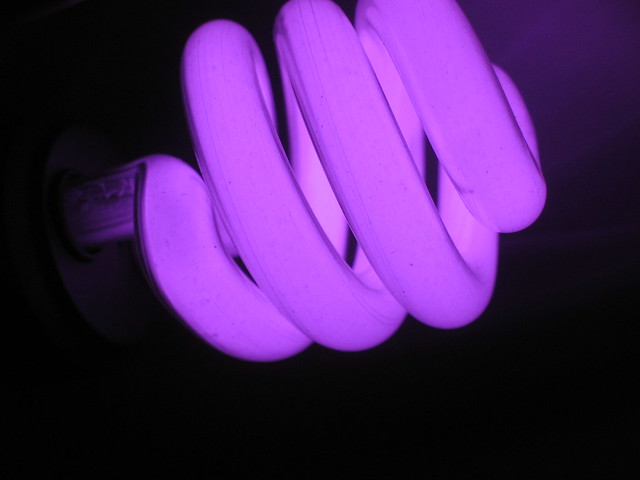 Blacklight bulb in ultraviolet