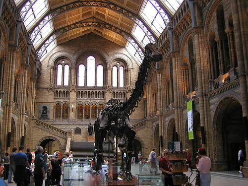 helen james님이 촬영한 London Natural History Museum (2) Published on Schmap.