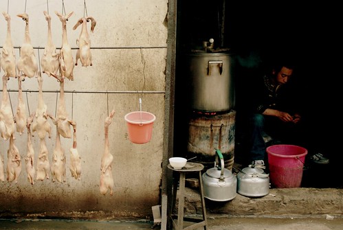 China Photo: Hanging Around