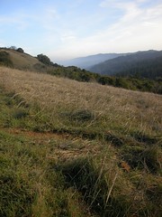 Grassy foothills