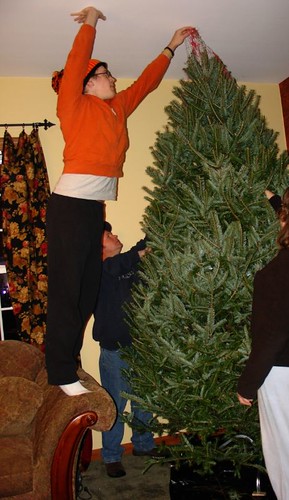 Freeing our Christmas tree