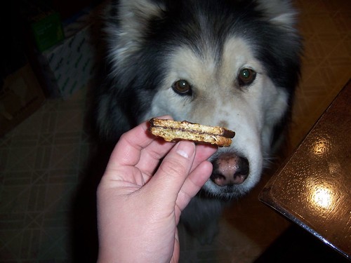 nuki and a cookie