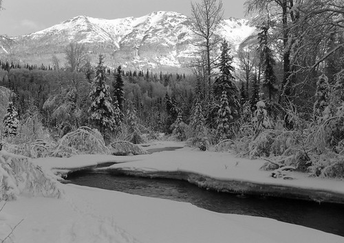 Alaska landscape in lack amp;