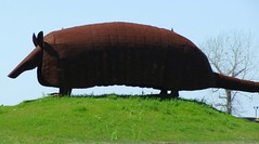 giant armadillo by zippythesimshead