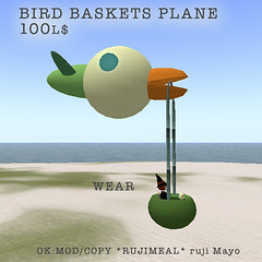 birdbaskets plane