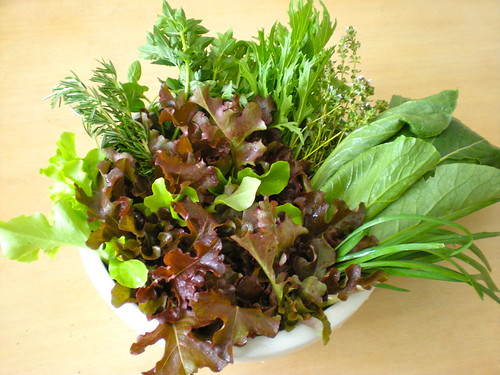 harvest - baby lettuce, rosemary, oregano, mizuna, thyme, komatsuna, garlic chives