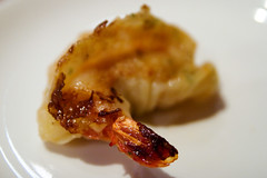 shrimp gyoza close up