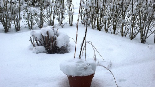 Snow in the garden at Easter