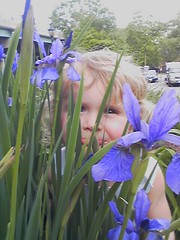 Quinn With Irises