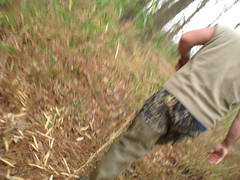 Checking hunting sites in Springfield, Louisiana, USA