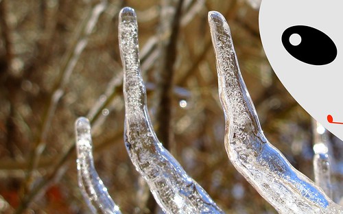 icicle: Allien's hand