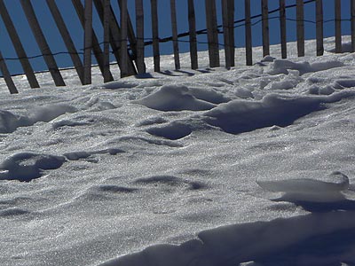 barreaux et neige.jpg