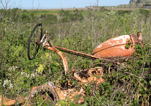 Tractor remains