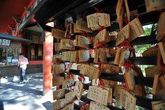 Kyoto 2008 - 清水寺(10)