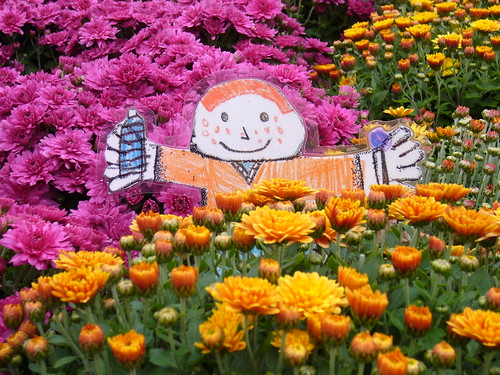 Flat Stanley In the Flowers