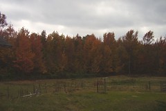 111207 Fall Color - Landscape
