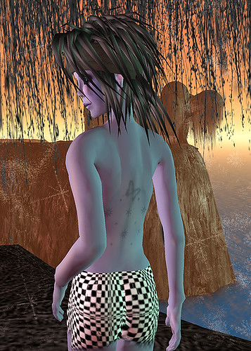 Star Kissed Skin_Back View