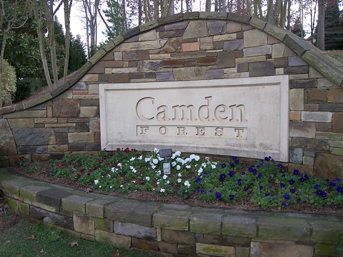 Camden Forest 047
