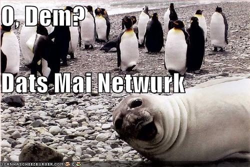 seal penguins phone network