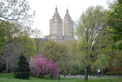 Central Park Photo Taken In Spring 2008 - Picture Taken Looking West  From Central Park In New York City - April 25, 2008