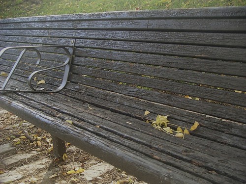 Downtown Bench