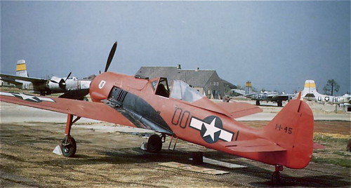Warbird picture - American FW-190