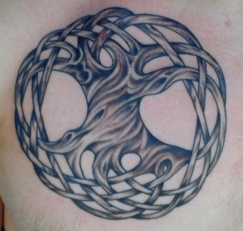  Celtic tree of life tattoo by Tres Denk 