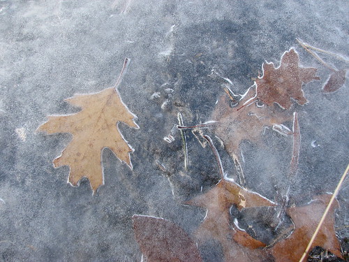 November ice