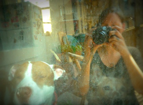 self portrait with doggies