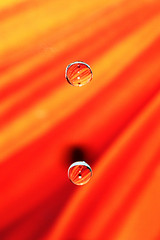 Orange droplets