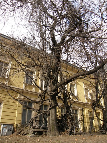 The National Ethnographic Museum of Sofia