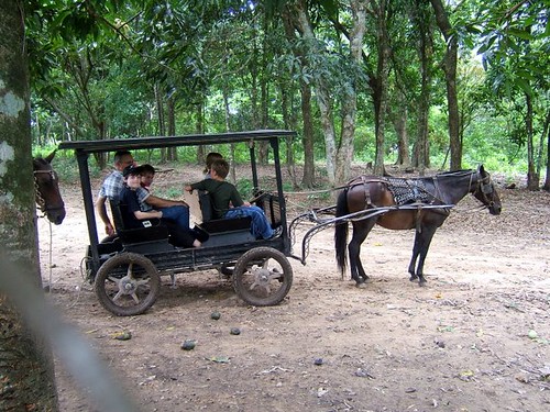 Missionary kids taking a ride at the zoo behind the resort.