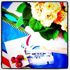 Heartwarming bouquet&nice card from flower shop "kanonn"♡(morning version) merci♡merci♡merci♡