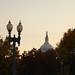 Capitol Amidst Autumn Leaves