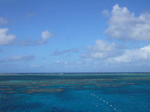 la grande barriera corallina.
