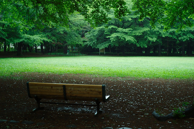 雨中の公園