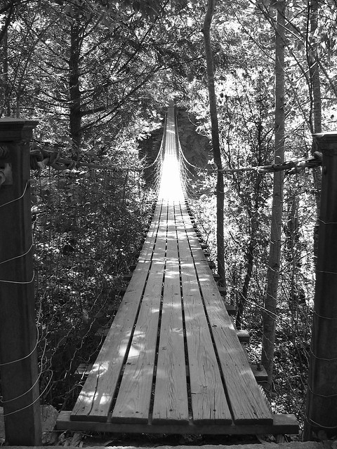 Fall Creek Falls swinging bridge