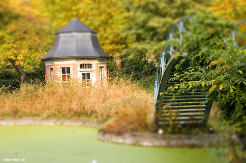 pond in miniature