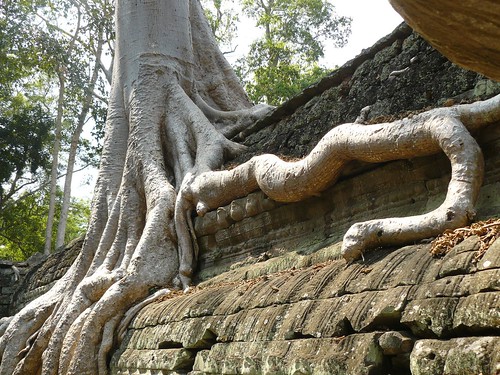 Cambodge - Angkor #81
