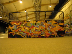 Graffiti Skatepark Bercy Rampe