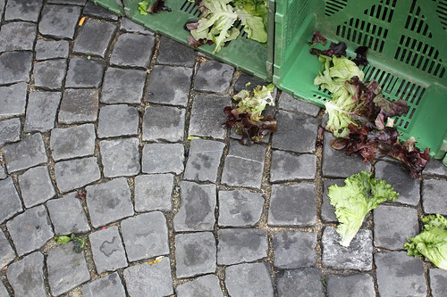 neuchatel market: lettuce casualties