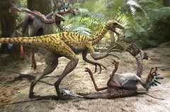 Mei long Vs 2 Incisivosaurus