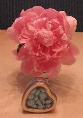 Peony and shower favor
