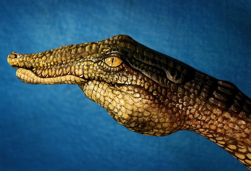 Hand Painted Crocodile