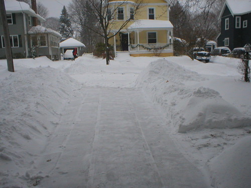 Driveway cleared, for now.