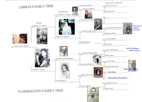 Gibson Washington Families Tree