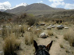 horse trek, south of Kochkor