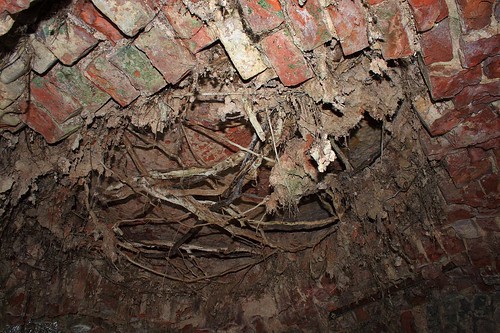 Olgovo manor ruins. Ceiling ©  Pavel 