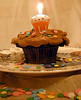 Martha Stewart's One Bowl Chocolate Cupcakes Make for Happy Birthdays!