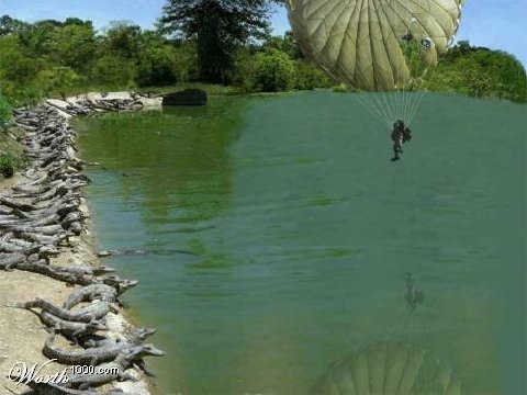 Alligator Parachute.jpg